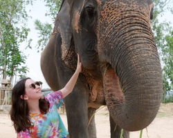 Elephant Jungle Sanctuary excursion in Pattaya Thailand - photo 384