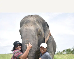 Elephant Jungle Sanctuary excursion in Pattaya Thailand - photo 1113