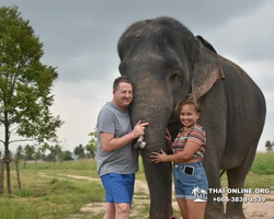 Elephant Jungle Sanctuary excursion in Pattaya Thailand - photo 960