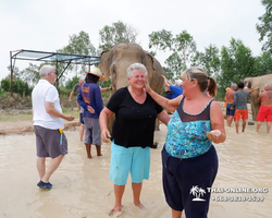 Elephant Jungle Sanctuary excursion in Pattaya Thailand - photo 575