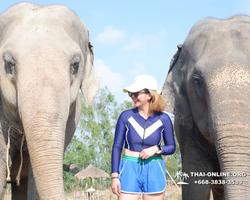 Elephant Jungle Sanctuary excursion in Pattaya Thailand - photo 656