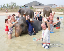 Elephant Jungle Sanctuary excursion in Pattaya Thailand - photo 707