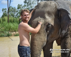 Elephant Jungle Sanctuary excursion in Pattaya Thailand - photo 586