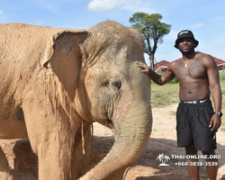 Elephant Jungle Sanctuary excursion in Pattaya Thailand - photo 243