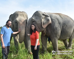 Elephant Jungle Sanctuary excursion in Pattaya Thailand - photo 437