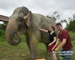 Elephant Jungle Sanctuary excursion in Pattaya Thailand - photo 863