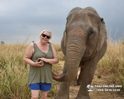 Elephant Jungle Sanctuary excursion in Pattaya Thailand - photo 861