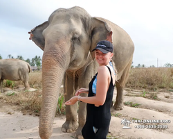 Elephant Jungle Sanctuary excursion in Pattaya Thailand - photo 723