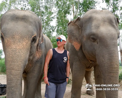 Elephant Jungle Sanctuary excursion in Pattaya Thailand - photo 313