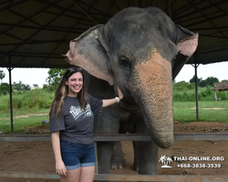 Elephant Jungle Sanctuary excursion in Pattaya Thailand - photo 994