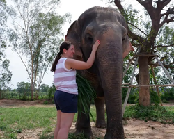 Elephant Jungle Sanctuary excursion in Pattaya Thailand - photo 65