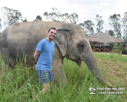 Elephant Jungle Sanctuary excursion in Pattaya Thailand - photo 288