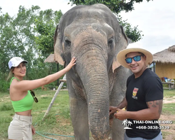 Elephant Jungle Sanctuary excursion in Pattaya Thailand - photo 295