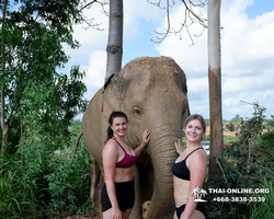 Elephant Jungle Sanctuary excursion in Pattaya Thailand - photo 167