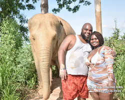 Elephant Jungle Sanctuary excursion in Pattaya Thailand - photo 67