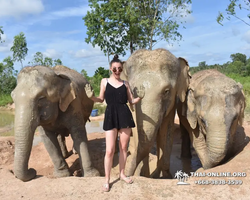 Elephant Jungle Sanctuary excursion in Pattaya Thailand - photo 296