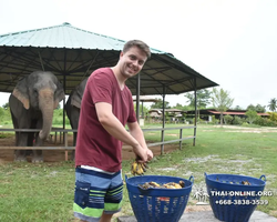 Elephant Jungle Sanctuary excursion in Pattaya Thailand - photo 757