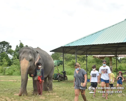 Elephant Jungle Sanctuary excursion in Pattaya Thailand - photo 965