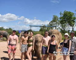 Elephant Jungle Sanctuary excursion in Pattaya Thailand - photo 590