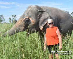 Elephant Jungle Sanctuary excursion in Pattaya Thailand - photo 140