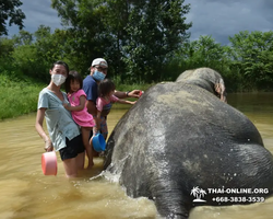 Elephant Jungle Sanctuary excursion in Pattaya Thailand - photo 471