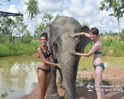 Elephant Jungle Sanctuary excursion in Pattaya Thailand - photo 333