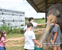 Elephant Jungle Sanctuary excursion in Pattaya Thailand - photo 395