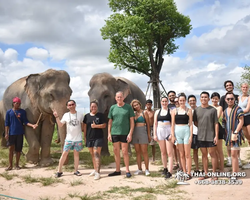 Elephant Jungle Sanctuary excursion in Pattaya Thailand - photo 372