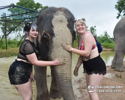 Elephant Jungle Sanctuary excursion in Pattaya Thailand - photo 555