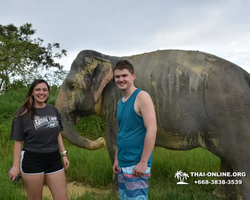 Elephant Jungle Sanctuary excursion in Pattaya Thailand - photo 975