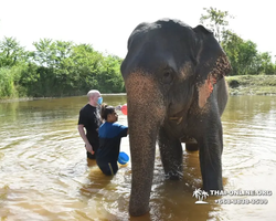 Elephant Jungle Sanctuary excursion in Pattaya Thailand - photo 547