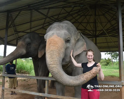 Elephant Jungle Sanctuary excursion in Pattaya Thailand - photo 920