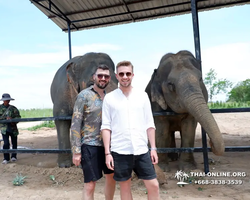 Elephant Jungle Sanctuary excursion in Pattaya Thailand - photo 862