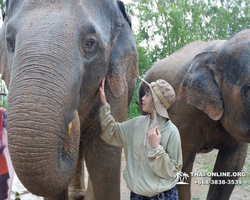 Elephant Jungle Sanctuary excursion in Pattaya Thailand - photo 148