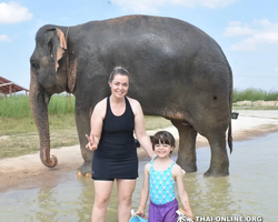 Elephant Jungle Sanctuary excursion in Pattaya Thailand - photo 733