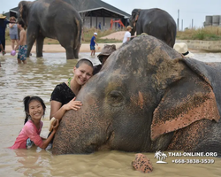 Elephant Jungle Sanctuary excursion in Pattaya Thailand - photo 551