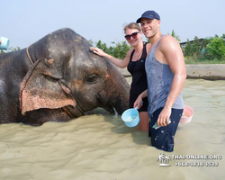Elephant Jungle Sanctuary excursion in Pattaya Thailand - photo 896