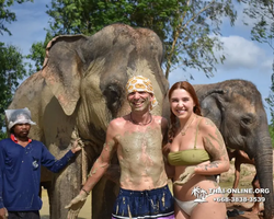 Elephant Jungle Sanctuary excursion in Pattaya Thailand - photo 489