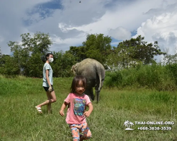 Elephant Jungle Sanctuary excursion in Pattaya Thailand - photo 401