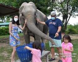 Elephant Jungle Sanctuary excursion in Pattaya Thailand - photo 163