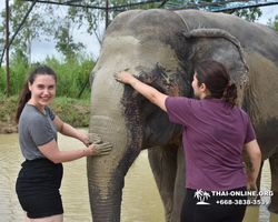 Elephant Jungle Sanctuary excursion in Pattaya Thailand - photo 599