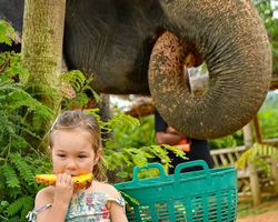 Elephant Jungle Sanctuary excursion in Pattaya Thailand - photo 341