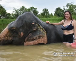 Elephant Jungle Sanctuary excursion in Pattaya Thailand - photo 810