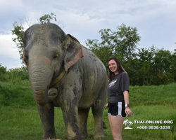Elephant Jungle Sanctuary excursion in Pattaya Thailand - photo 874