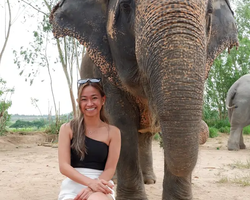 Elephant Jungle Sanctuary excursion in Pattaya Thailand - photo 210