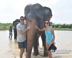 Elephant Jungle Sanctuary excursion in Pattaya Thailand - photo 1063