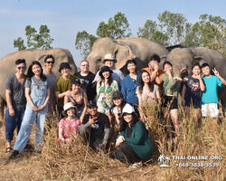 Elephant Jungle Sanctuary excursion in Pattaya Thailand - photo 45