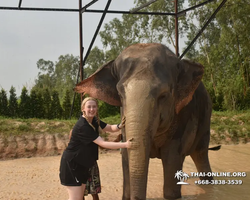 Elephant Jungle Sanctuary excursion in Pattaya Thailand - photo 613