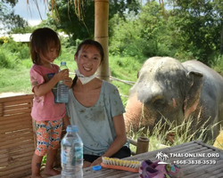 Elephant Jungle Sanctuary excursion in Pattaya Thailand - photo 549