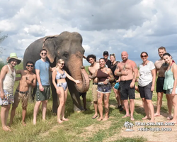 Elephant Jungle Sanctuary excursion in Pattaya Thailand - photo 492